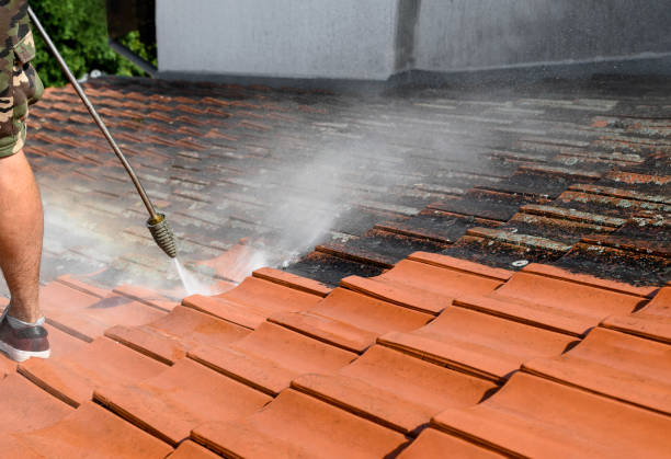 Best Power Washing Near Me  in Homer, AK